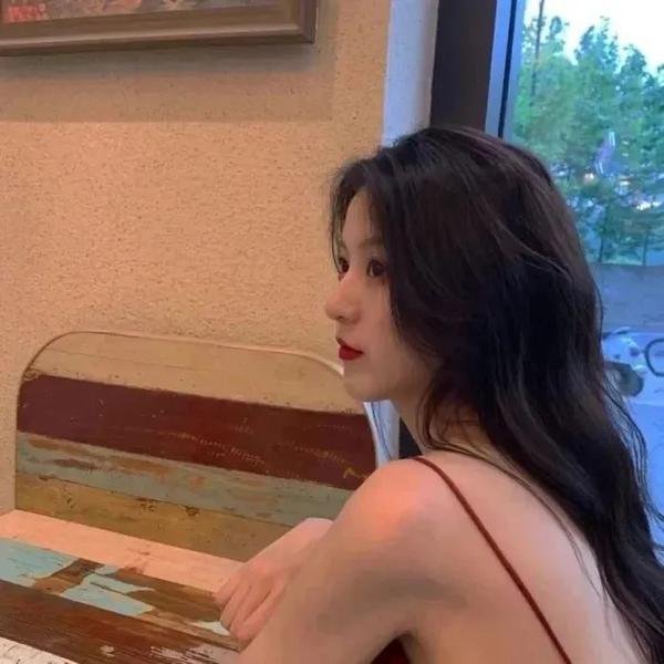 鹈鹕的故事